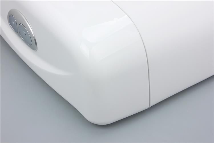 flash tank toilet