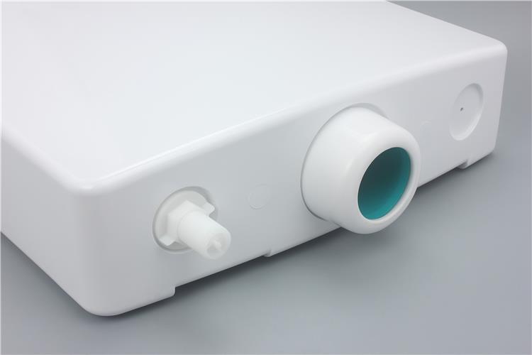 back to wall toilet tank