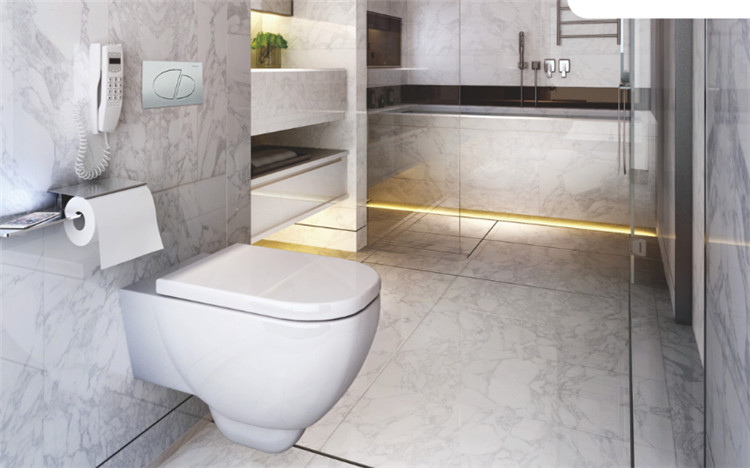 Wall Mounted Toilet Tank 