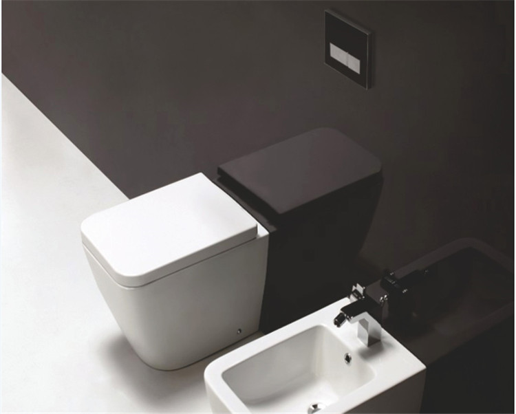 Slim Toilet Flush Cistern