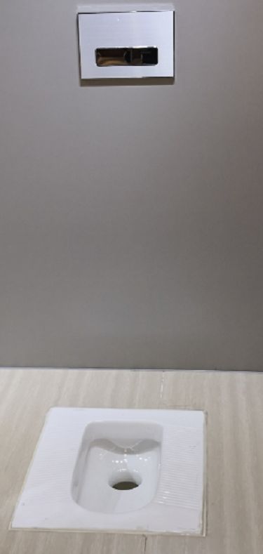 Wall in Toilet Cistern